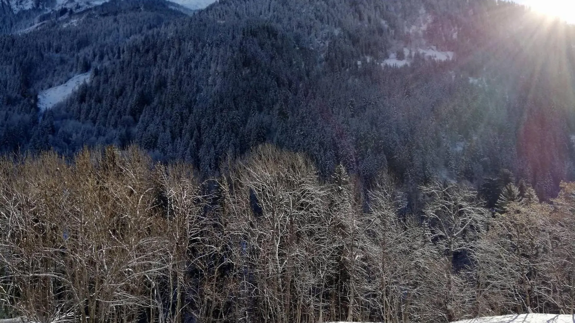 Appartement Neuf 4* Champagny - 3 Ch + Coin Montagne, Balcon Sud-Est, Parking, Wi-Fi - Fr-1-638-16 La Plagne 0*,  France